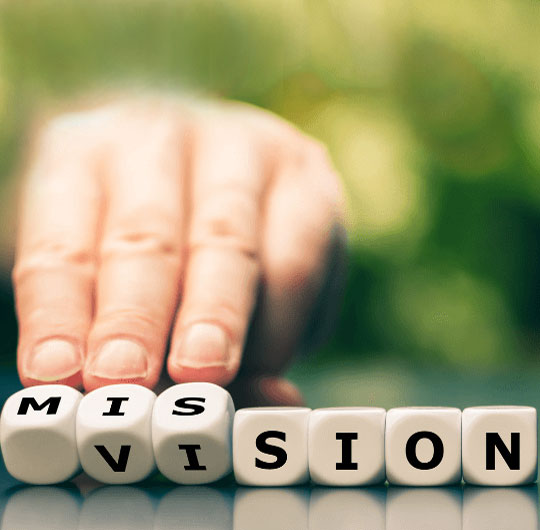 Our Vision